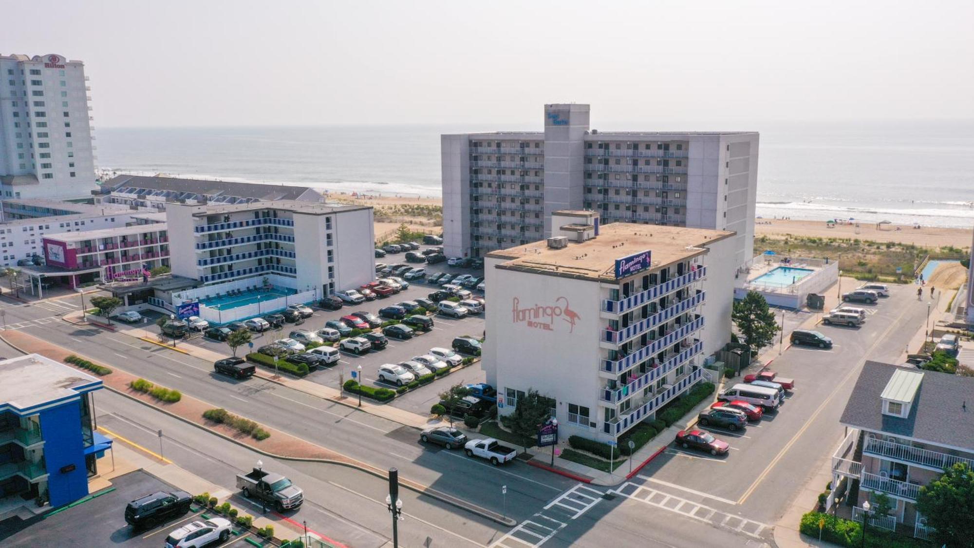 אושן סיטי Flamingo Motel מראה חיצוני תמונה