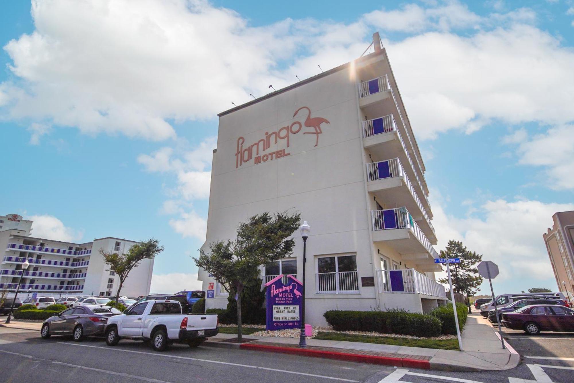 אושן סיטי Flamingo Motel מראה חיצוני תמונה